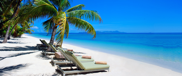 Beach with palm tree